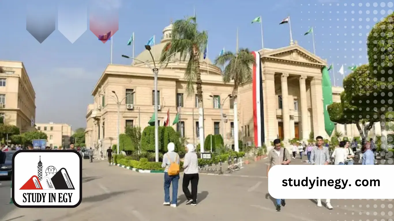 الجامعات المعترف بها في مصر