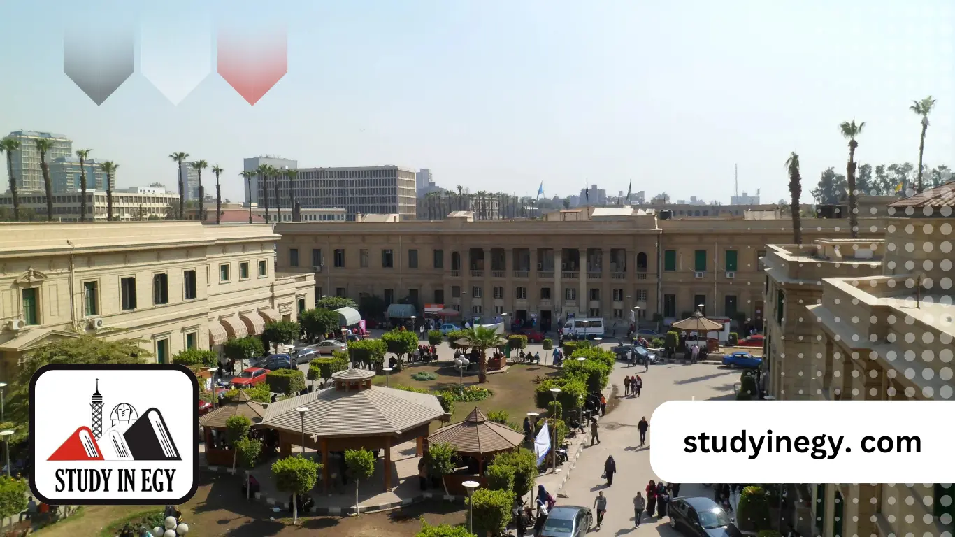 دراسة التجارة في مصر
