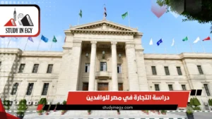 دراسة التجارة في مصر للوافدين [current_year]