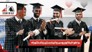 ما هو البكالوريوس والماجستير والدكتوراه؟