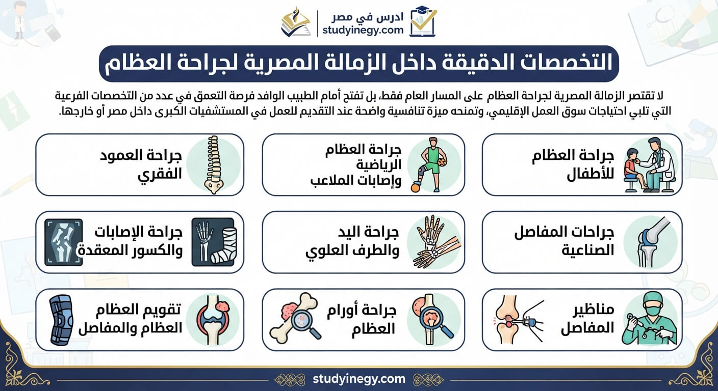 الزمالة المصرية لجراحة العظام 